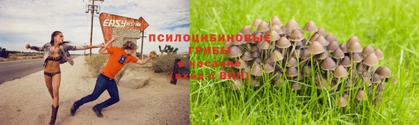 спиды Абдулино