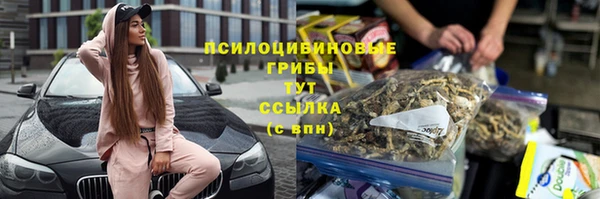меф Новодвинск