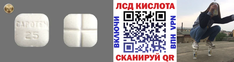 наркота  Таштагол  LSD-25 экстази кислота 