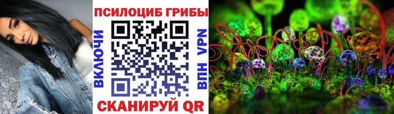 купить наркоту  Таштагол  Галлюциногенные грибы прущие грибы 